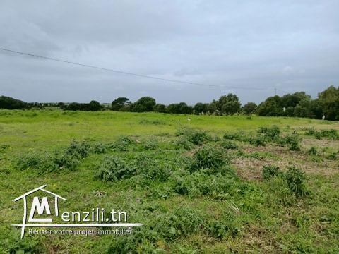 قطعة أرض بتمزرات