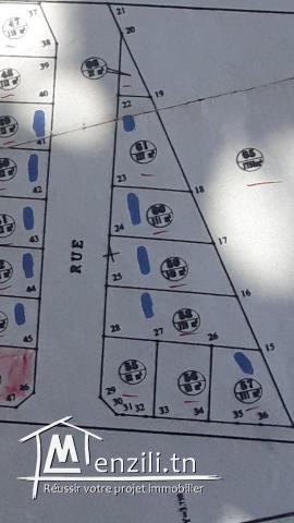 Terrain ta9asim Sara 7ay Najat