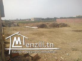 Terrain à vendre à Hammamet Si Hamed