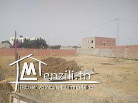 Terrain à vendre à Hammamet Si Hamed