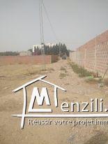 Terrain à vendre à Hammamet Si Hamed