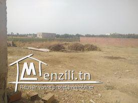 Terrain à vendre à Hammamet Si Hamed