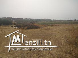 Terrain à vendre à Hammamet Si Hamed