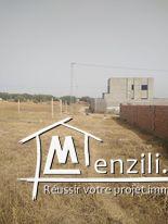 Terrain à vendre à hammamet Si Hamed