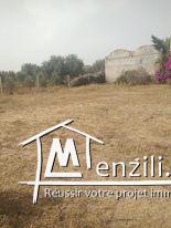 Terrain à vendre à hammamet Si Hamed