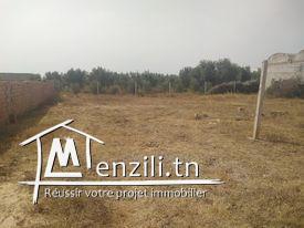 Terrain à vendre à hammamet Si Hamed