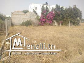 Terrain à vendre à hammamet Si Hamed