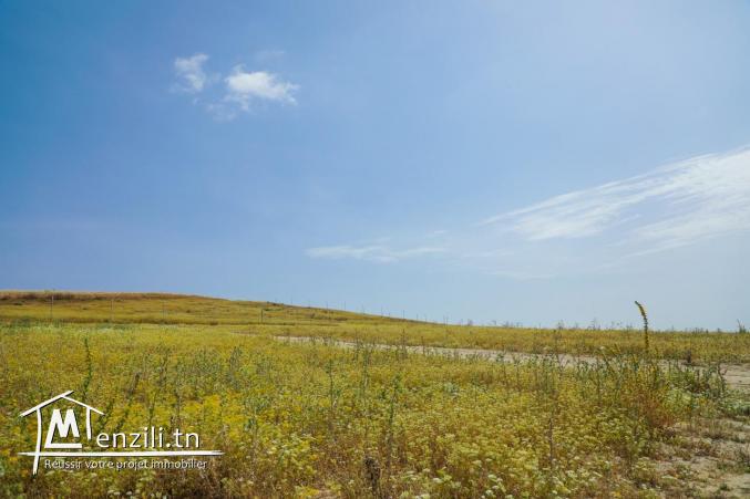 terrain a vendre pres géant market