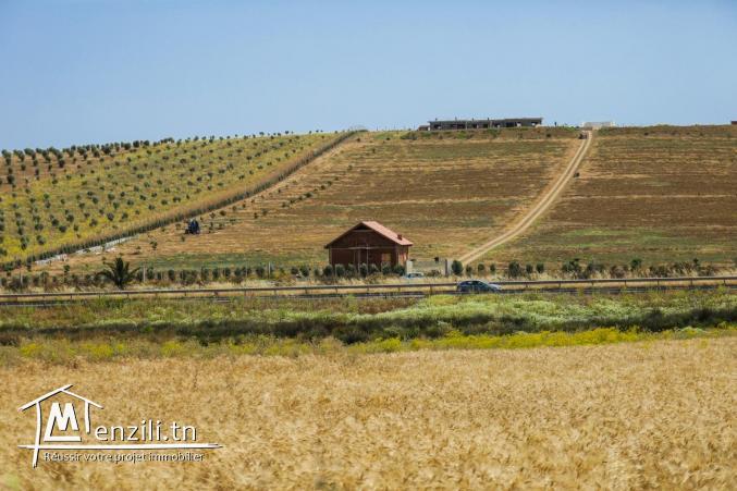 terrain a vendre pres géant market