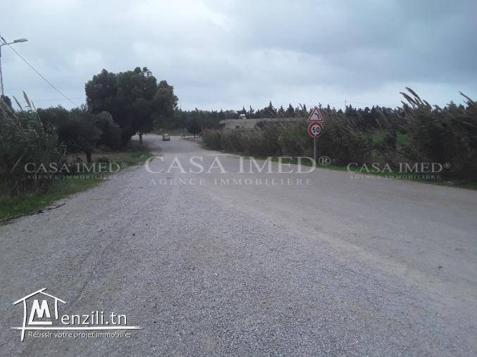 Lots des terrains a vendre a KERKOUANE à kelibia Emplacement Résidentiel des lots 