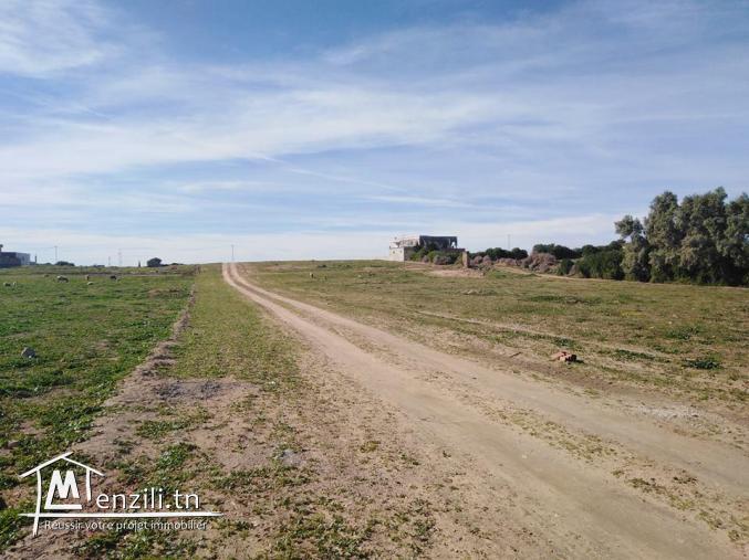 terrain a vendre de 150 m2 a KERKOUANE