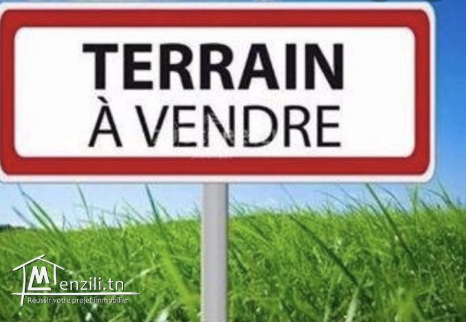 Terrain à vendre à kairouan à côté lycée pilote