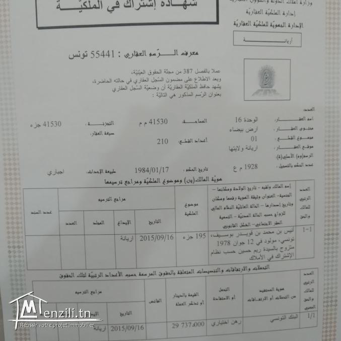 Vente terrain nu araoued