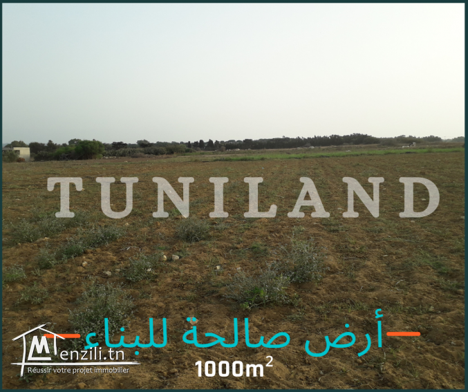 Terrain constructible à vendre à Kerkouen - Kélibia