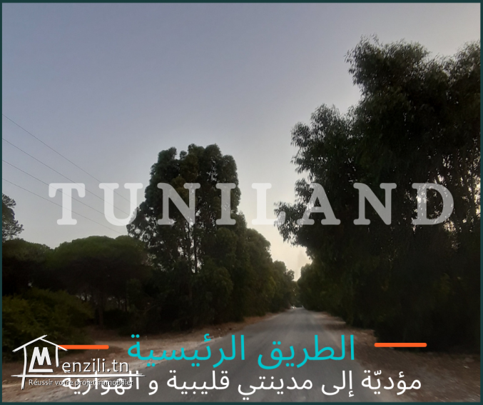 Terrain constructible à vendre à Kerkouen - Kélibia