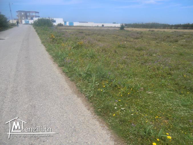 أرض للبيع بدار علوش تبعد 700م عل بحر