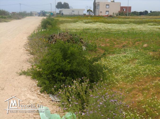 أرض للبيع بدار علوش تبعد 700م عل بحر