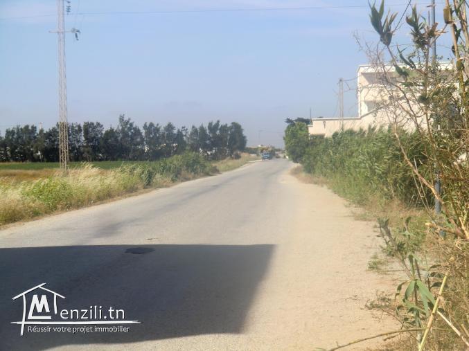 lottisement dar allouch