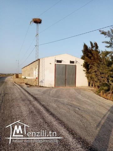 A louer un Dépot de 504 m2