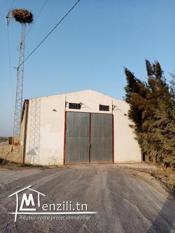 A louer un Dépot de 504 m2