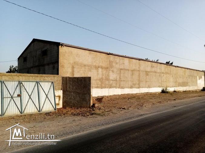 A louer un Dépot de 504 m2