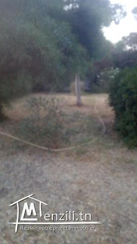 Villa au board de la mere