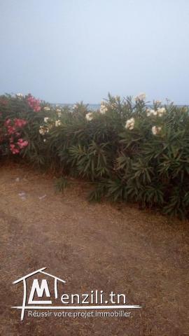 Villa au board de la mere