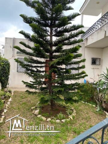 A louer un Studio meublé à Cité Sofiene la Marsa