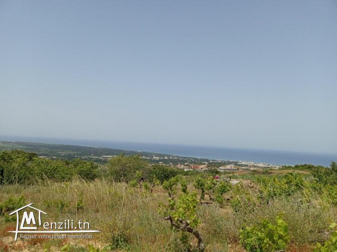 Terrain à RAFRAF de 680m² vue sur mer, constructible et accessible par voiture.