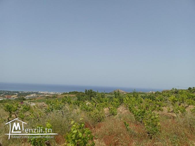 Terrain à RAFRAF de 680m² vue sur mer, constructible et accessible par voiture.