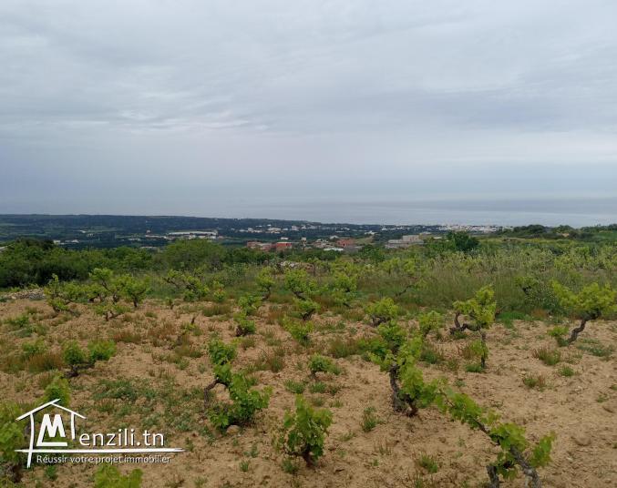 Terrain à RAFRAF de 680m² vue sur mer, constructible et accessible par voiture.