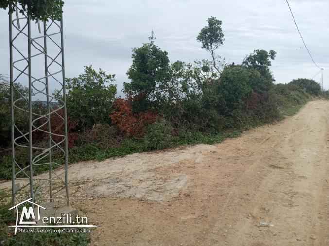 Terrain à RAFRAF de 680m² vue sur mer, constructible et accessible par voiture.