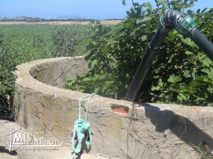 4 hectars a  ven dre titre bleu