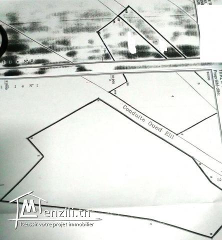 terrain en face campus universitaire manar