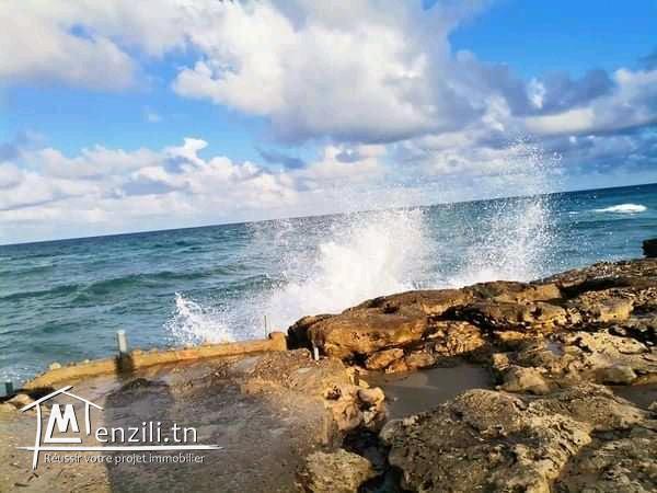 terrain a vendre de 295 m2