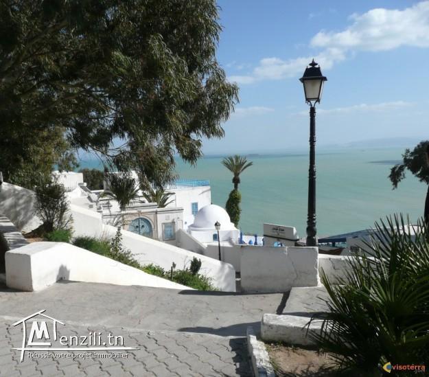 A Vendre terrain de 8517m² vue mer à Sidi Bou Saïd