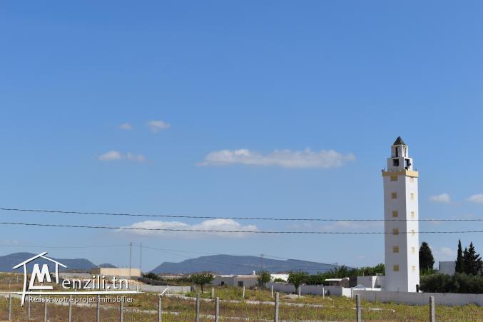 ارض للبيع في الدويخلة ياسمين الحمامات