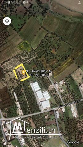 Terrain titre bleu à bizerte