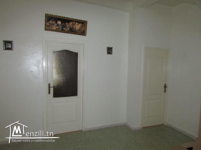 Belle villa a vendre a bir mcheurga zaghouan