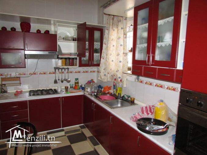 Belle villa a vendre a bir mcheurga zaghouan