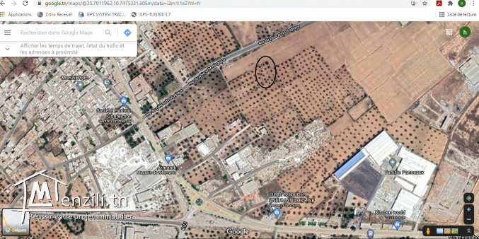 terrain a vendre a menzel harb