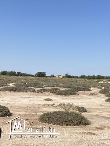 Terrain à Ellouza vue mer