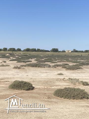 Terrain à Ellouza vue mer