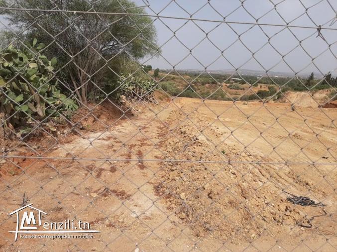 Villa + Piscine + puits artésien +terrain