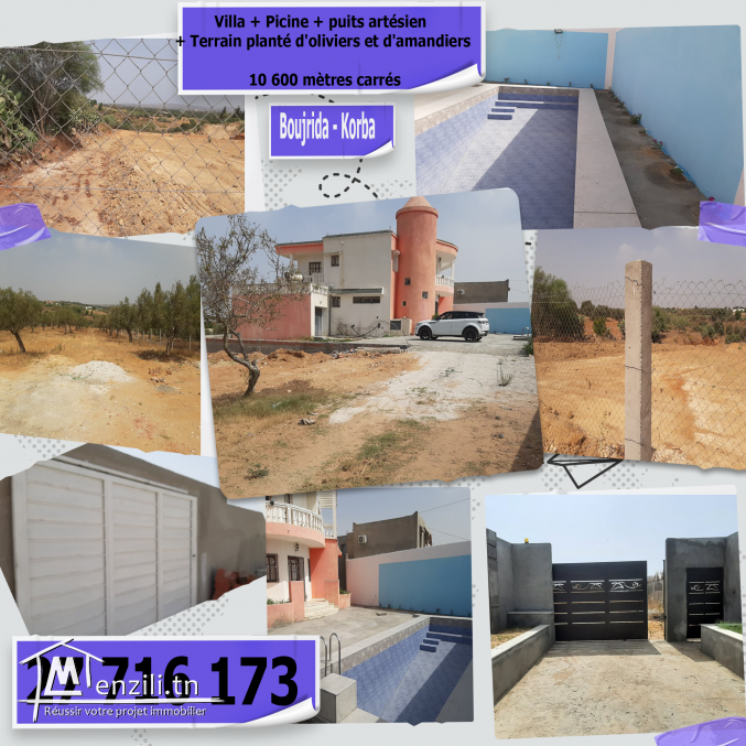 Villa + Piscine + puits artésien +terrain