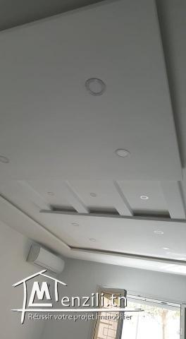 A Louer appartement s2 avec jardin à Gammarth