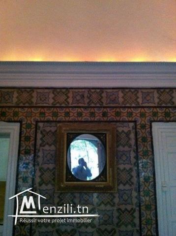 A Louer un rdc s2 meublé pieds dans l'eau à Marsa Cube