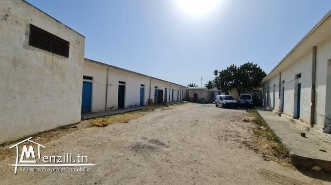 بشارع فرحات حشاد بوعرادة وسط المدينة