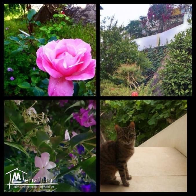 Location S+1 centre-ville de Tabarka et 200 m de la plage, à côté de la Basilique (Festival de Ja...