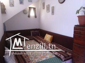 Maison à hammamet deux studio avec grande jardin